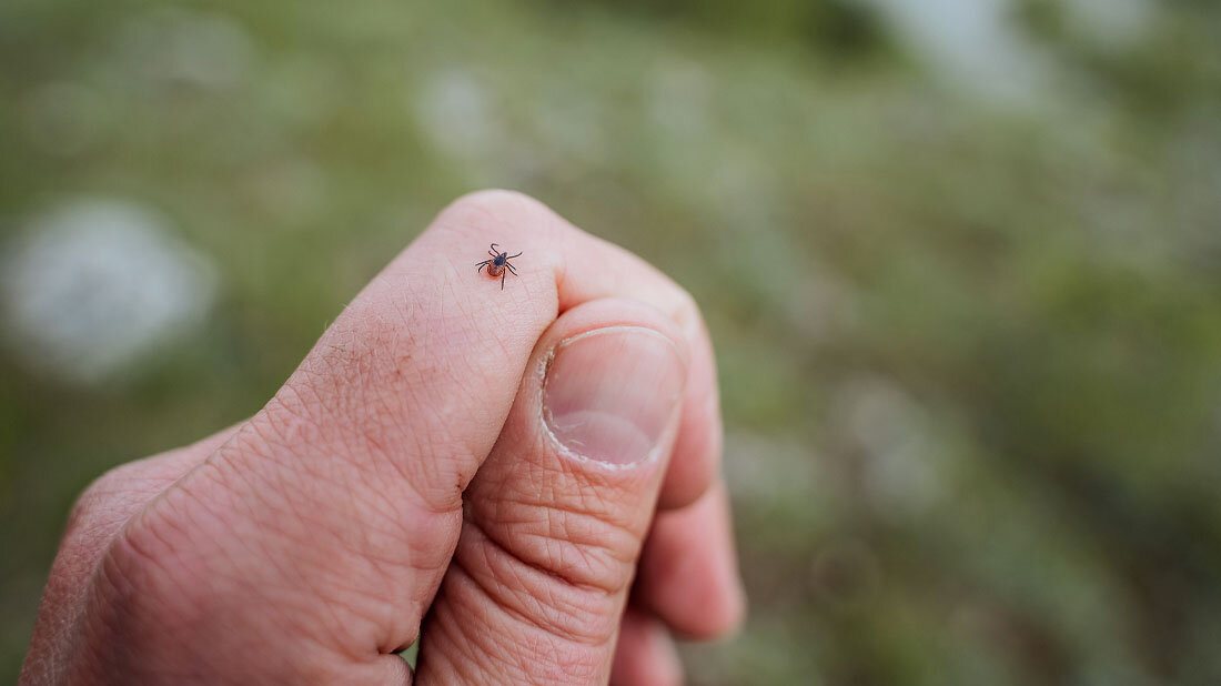 Hand with a tick.