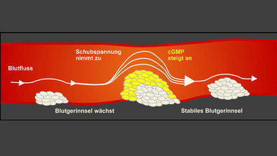erhöhte Schubspannung