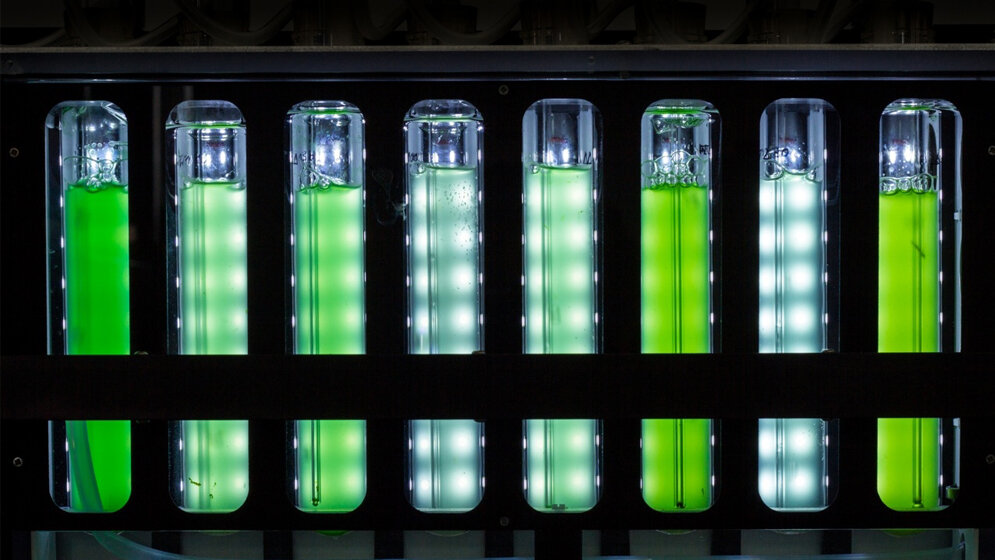 RNA-Schere mit mehreren Funktionen