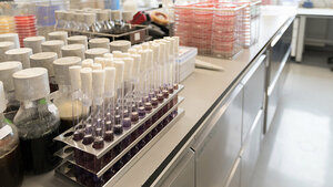 Die Nadel im Heuhaufen