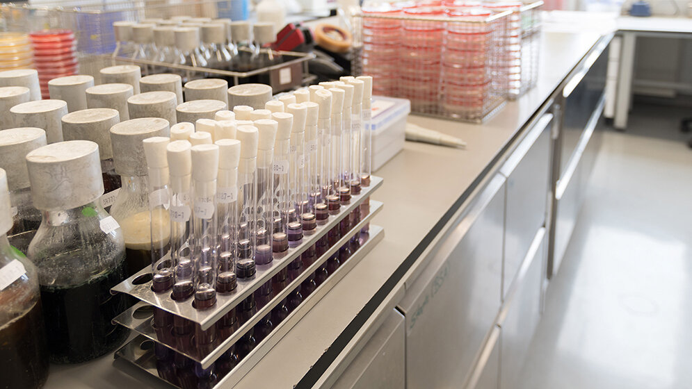 Lebensmittelanalytik Die Nadel im Heuhaufen