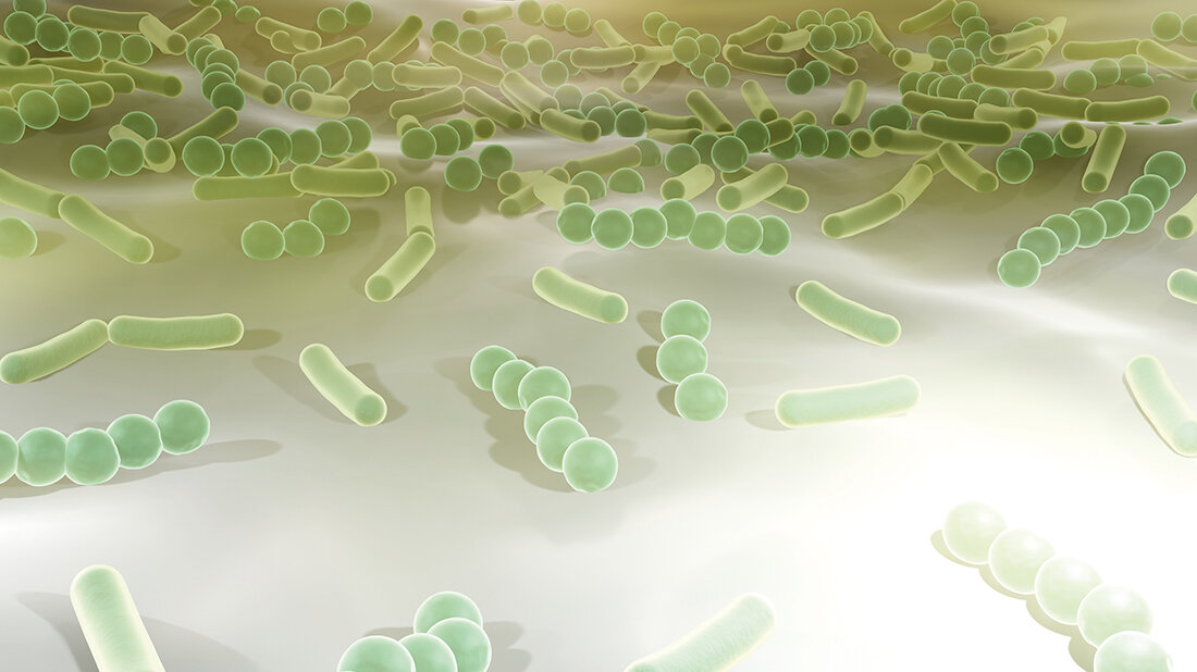Illustration einer bakteriellen Biofilmgemeinschaft mit kugel- und stäbchenförmigen Mikroorganismen auf einer Oberfläche.