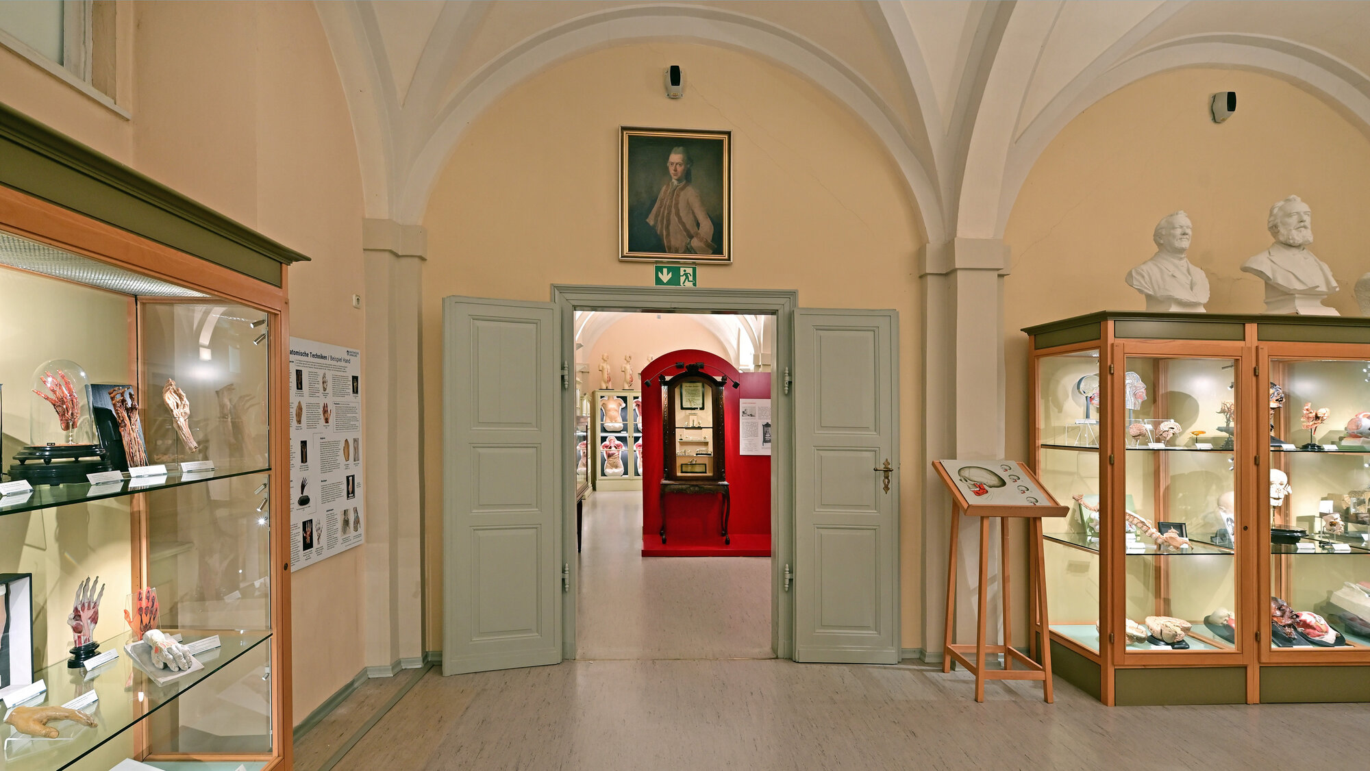 Dauerausstellung Anatomische Sammlung der Friedrich-Schiller-Universität und des Universitätsklinikums Jena