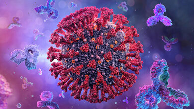 Antikörper nach SARS-CoV-2-Infektion 