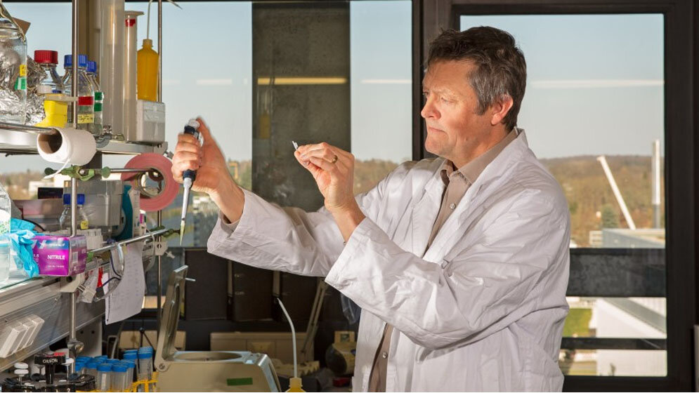 Team um Prof. Hausch