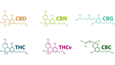 CBD et al