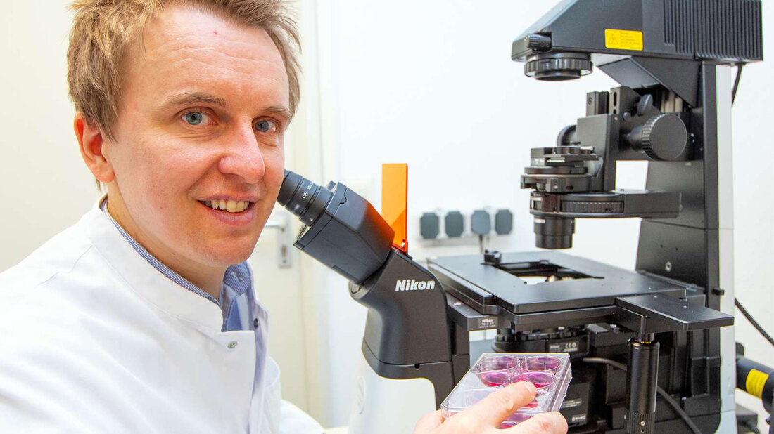 Professor Dr. Ingmar Mederacke