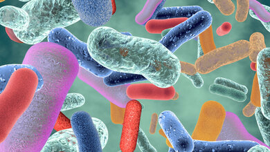 Darmmikrobiom_Adobe_Stock.jpg Darm-Mikrobiom