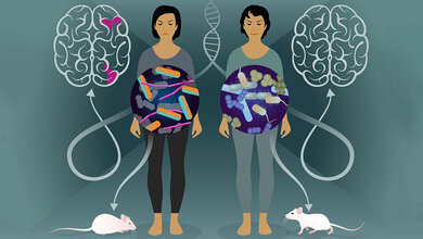 Zwillingsstudie Multiple Sklerose