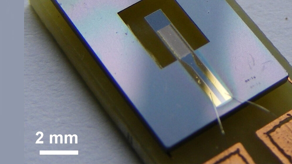 neuartige_biomagnetische_Sensoren_FotoCopyright_Christine_Kirchhof_32052016.jpg neuartige biomagnetische Sensoren