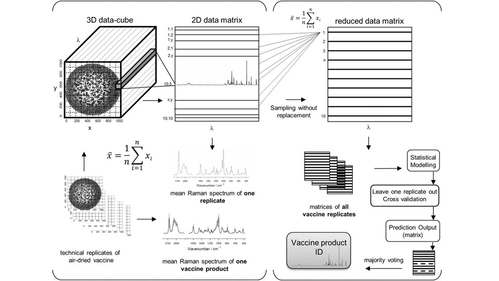Principle of vaccine Raman spectral data management. 