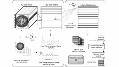 Principle of vaccine Raman spectral data management. 