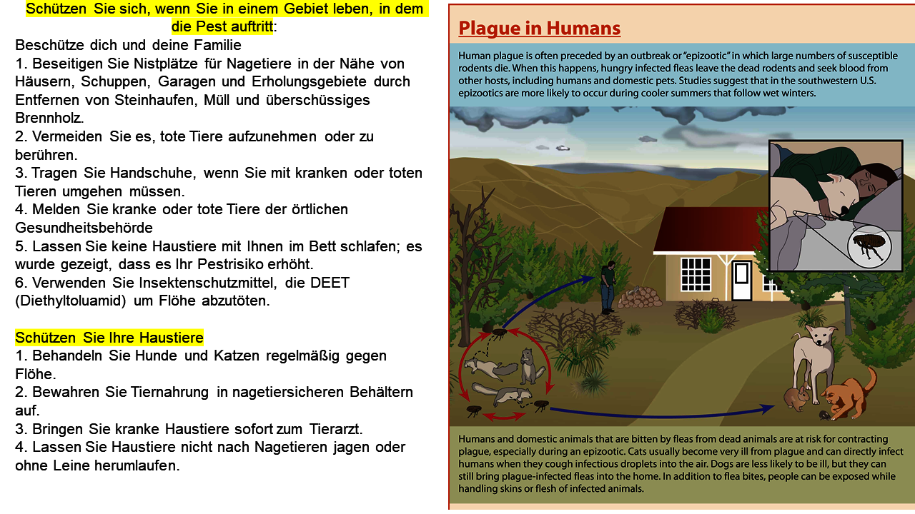 Schütze dich vor der Pest