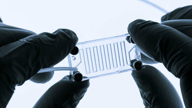 OoC.jpg Organ-on-a-chip