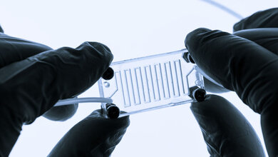 OoC.jpg Organ-on-a-chip
