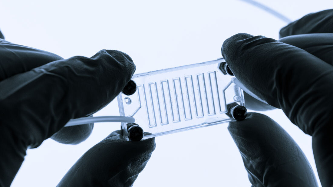 OoC.jpg Organ-on-a-chip