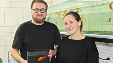 Dr_Peter_Machnik_und_Elisabeth_Schirmer_MSc_in_einem_Labor_des_Lehrstuhls_für_Tierphysiologie_an_der_Uni_Bayreuth_Foto_Christian_Wissler..jpg Dr. Peter Machnik und Elisabeth Schirmer M.Sc.