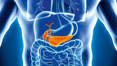 Galle und Gallensäuren (Teil 1)
