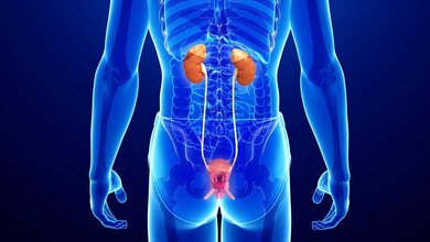 Urologie_Fotolia_67694738_L.jpg Urologie