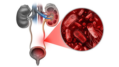Symbolbild für Harnwegsinfektion.