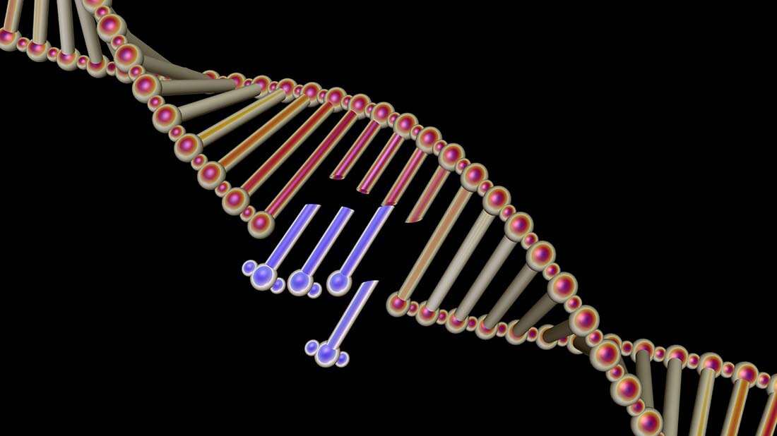 Welche Veränderungen kann die CAR-T-Zell-Krebstherapie im Herz-Kreislaufsystem hervorrufen?