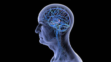 Symbolbild Kopf mit Gefäßen.