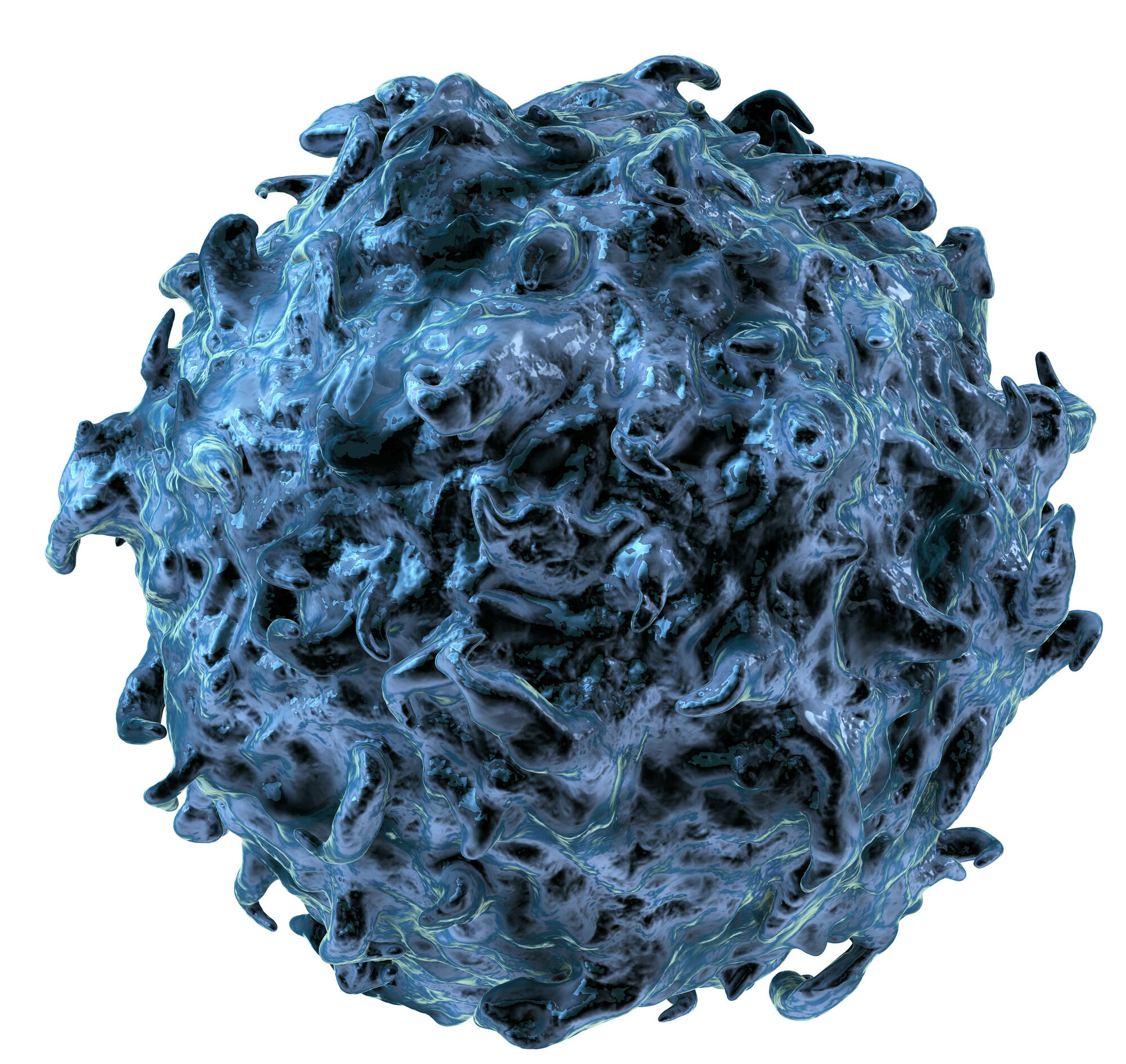 Modell einer T-Zelle