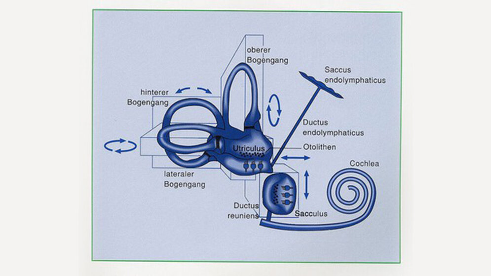 Spezielle Erkrankungen in der Neurologie (Teil 2)