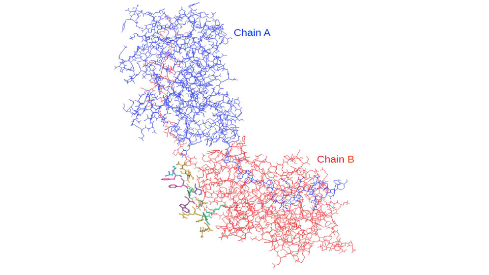 Proteinstruktur von der TRPM7 Kinase-Domäne 