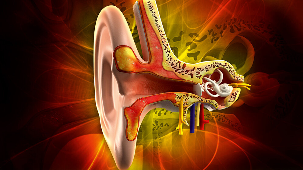Versorgungsmöglichkeiten von Hörstörungen (Teil 1)