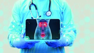 Grafische Darstellung der Nieren und Harnwege