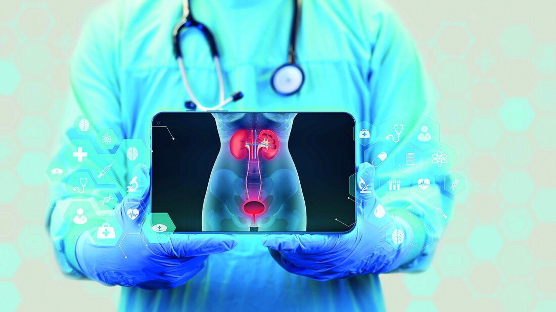 Grafische Darstellung der Nieren und Harnwege