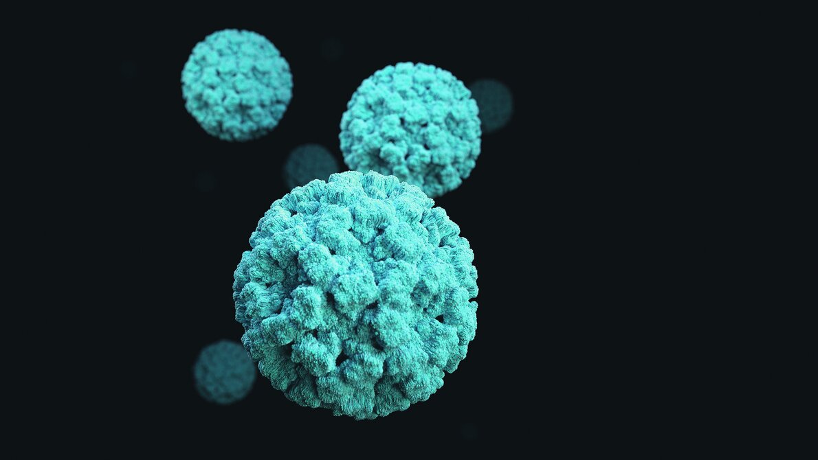 Dramatische Zunahme von Noroviren 3D-Grafische Darstellung einer Reihe von Norovirus-Virionen