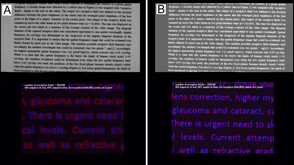HellerTextDunklerText_Frank_Schaeffel-ForschungsinstitutfuerAugenheilkundeTuebingen.jpg Lesen