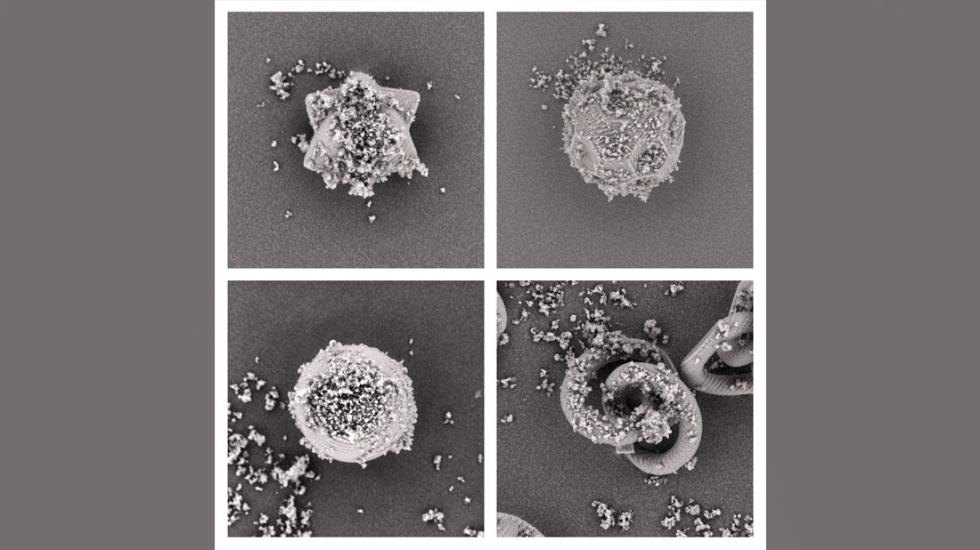 Abgebildet sind die vier getesteten Partikeldesigns im Vergleich.