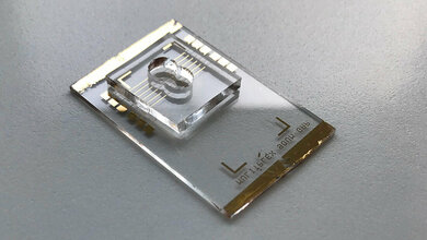 Nanobiosensor identifiziert Corona-Viren