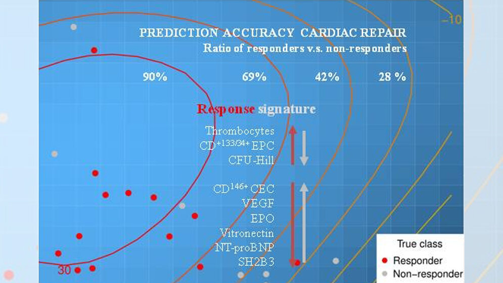 Dreidimensionale t-SNE Kalkulation 