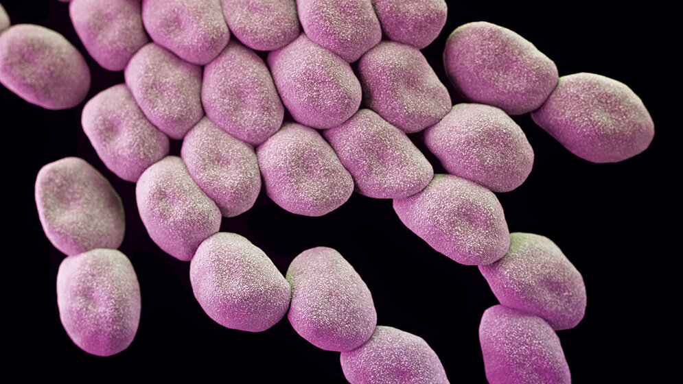 Multiresistente Erreger