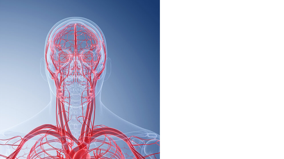 Funktionsdiagnostik Nicht invasive angiologische Diagnostik