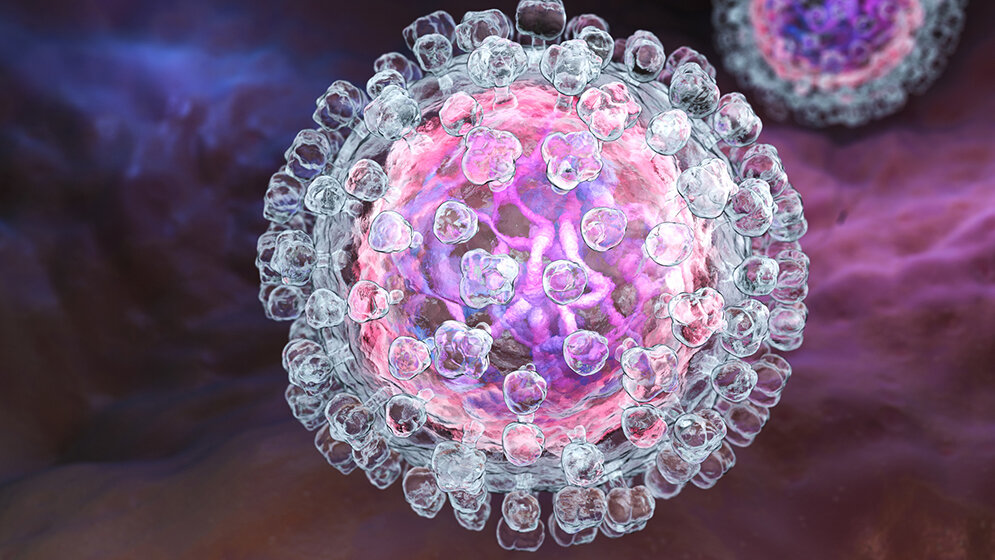 Virus_Hepatitis_C.jpg Virus_Hepatitis_C.jpg