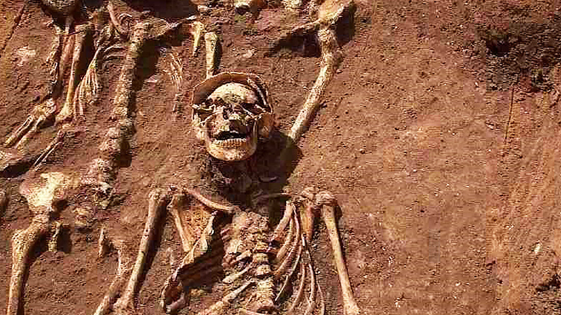 Wie sich der  Pesterreger verändert hat und was das für heutige Bedeutung Pestausbrüche bedeuten könnte