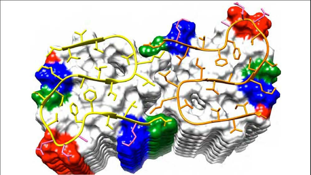 Amyloid-Beta 