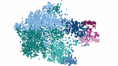 Einzelzellanalyse von Mikrogliazellen