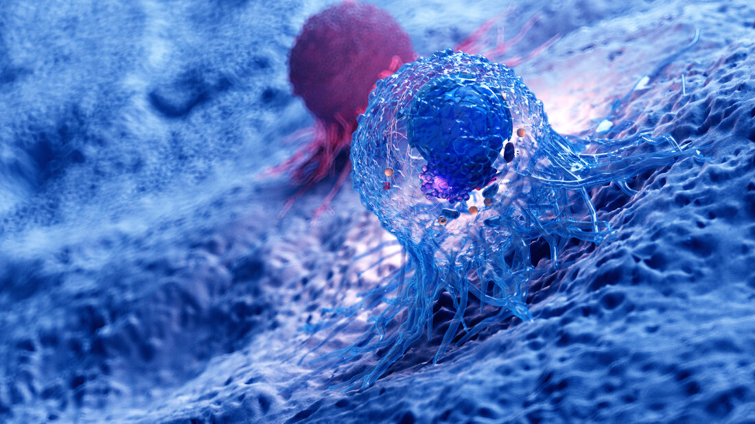 Krebszellen bekämpfen