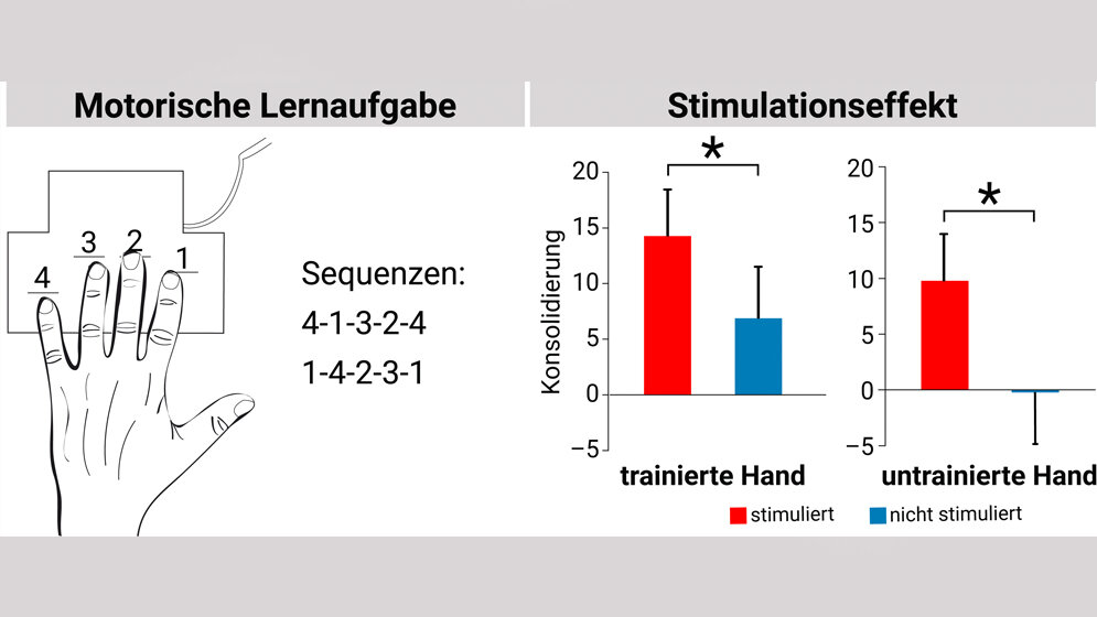 Stimulation hilft