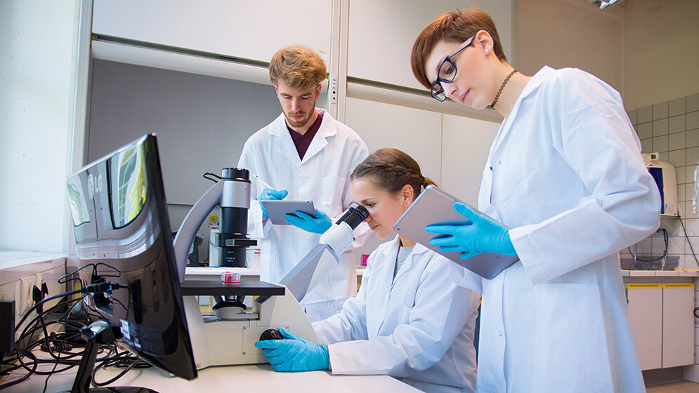 Neues Fernstudienangebot:  Medizinische Biotechnologie (B. Sc.)