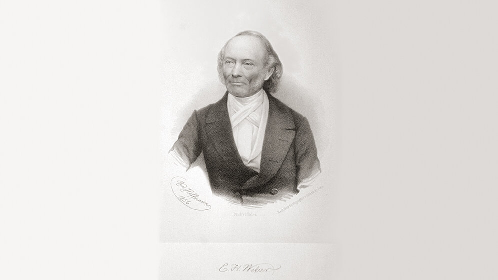 50 Jahre DVTA Meilensteine