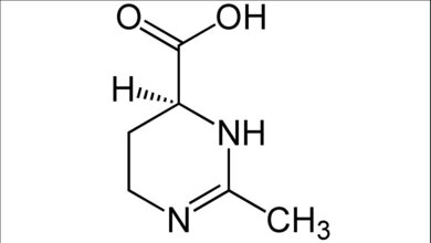 Struktur von Ectoin