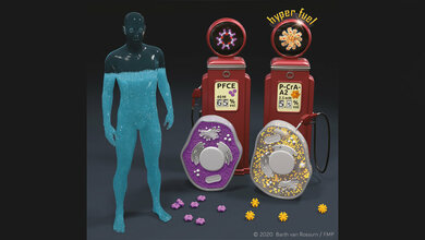 Forscher demonstrieren MRT-Kontrastmittel