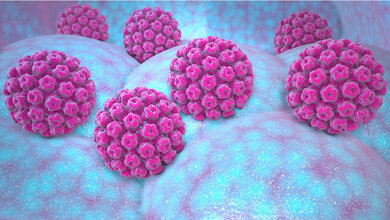 HPV.jpg HPV